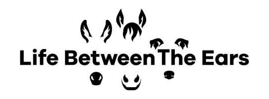 Life between the ears