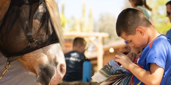 A boy combing through a book and a horse wearing a fly mask