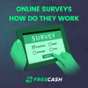 Surveys 2 Cash