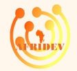 Afridev Solution Ltd.