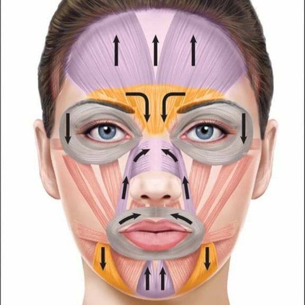Face lift diagram