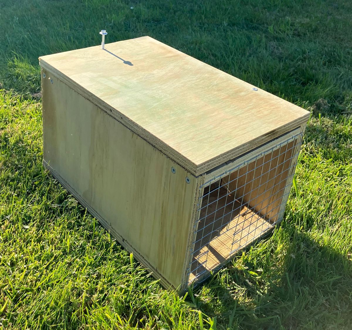 DOC BOX, PLYWOOD , Top Quality. ** With 20 Stainless steel screws!