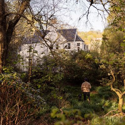 Person walking a dog through a wooded area toward a house.