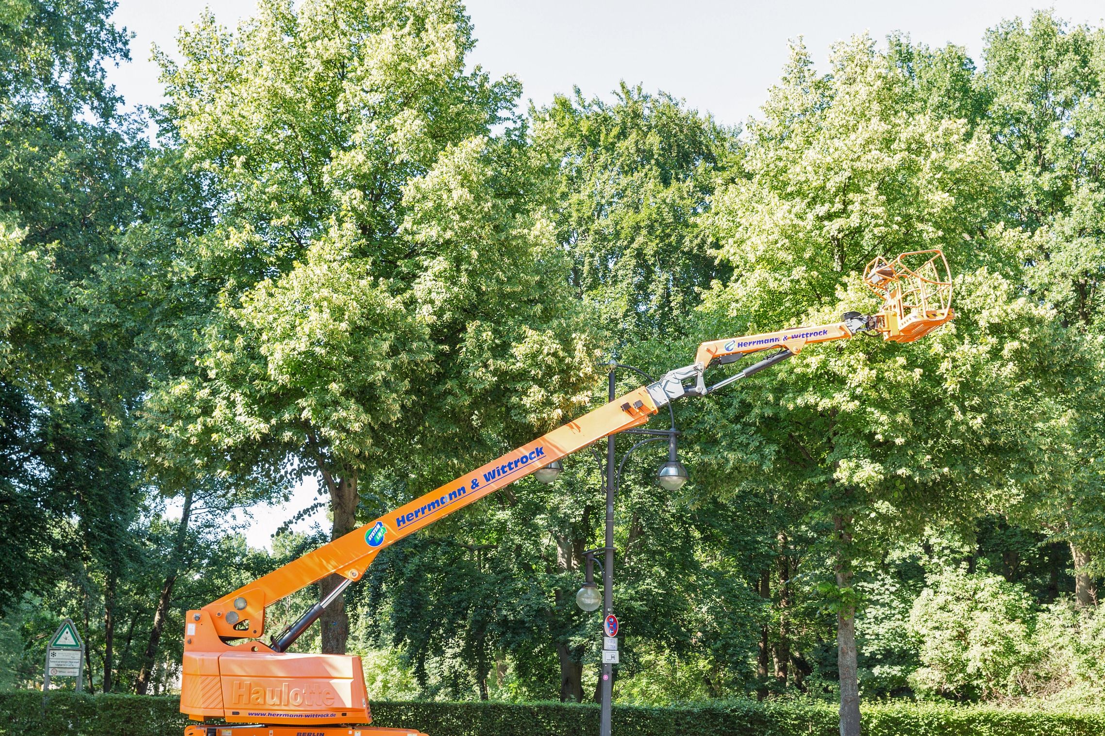Tree removal in connecticut with a lift and the company RC Property Services. 