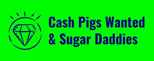 Cash pigs, pay pigs Men that want to Give You Money 💰 💰  🐖 $$$