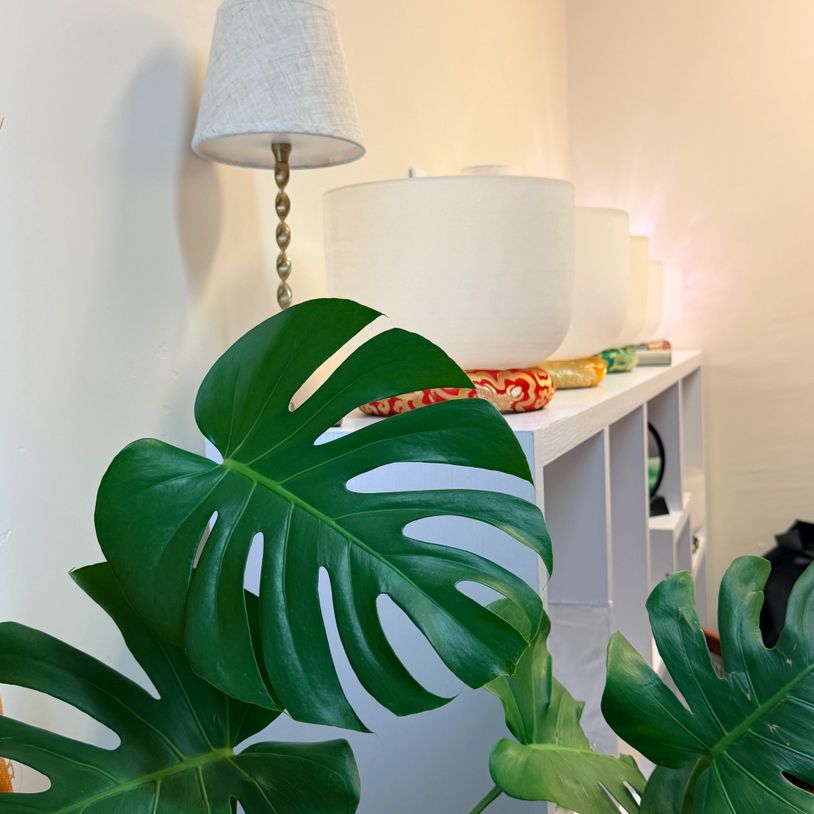 Large green monstera leaves in front of white singing bowls and a lamp.