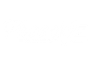 phoenixsecurity.tech