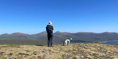 Hiker with a dog on a mountain under a clear blue sky.