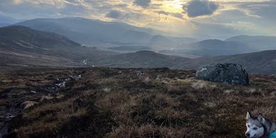Scenic mountain valley with a cloudy sky and a husky in the foreground.