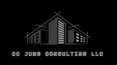 CC Jung Consulting LLC