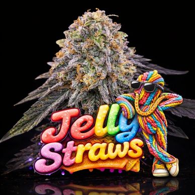 Colorful Jelly Straws mascot with a cannabis bud on a black background.