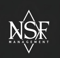 NSF Bros. LLC   