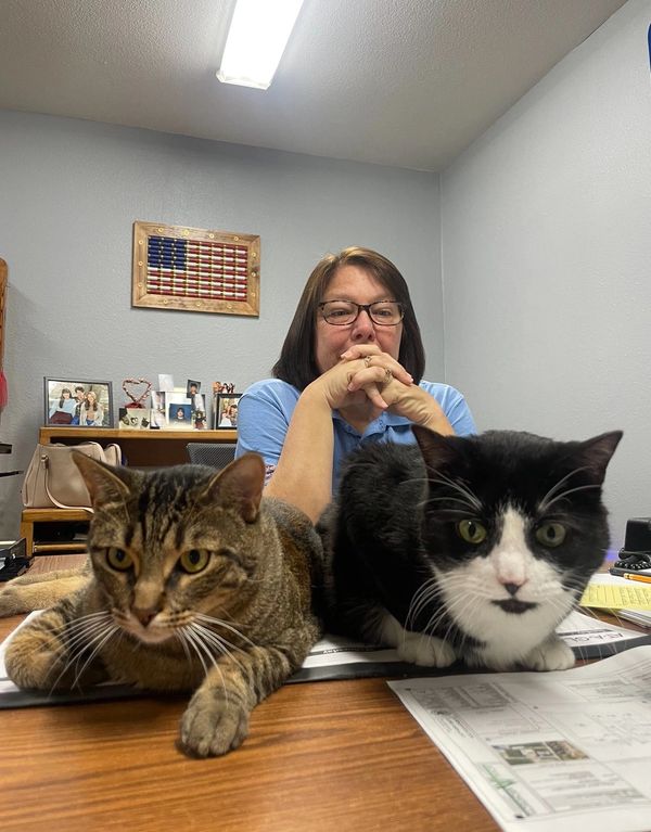 Our loving office cats, Tigger and Jon-Boy