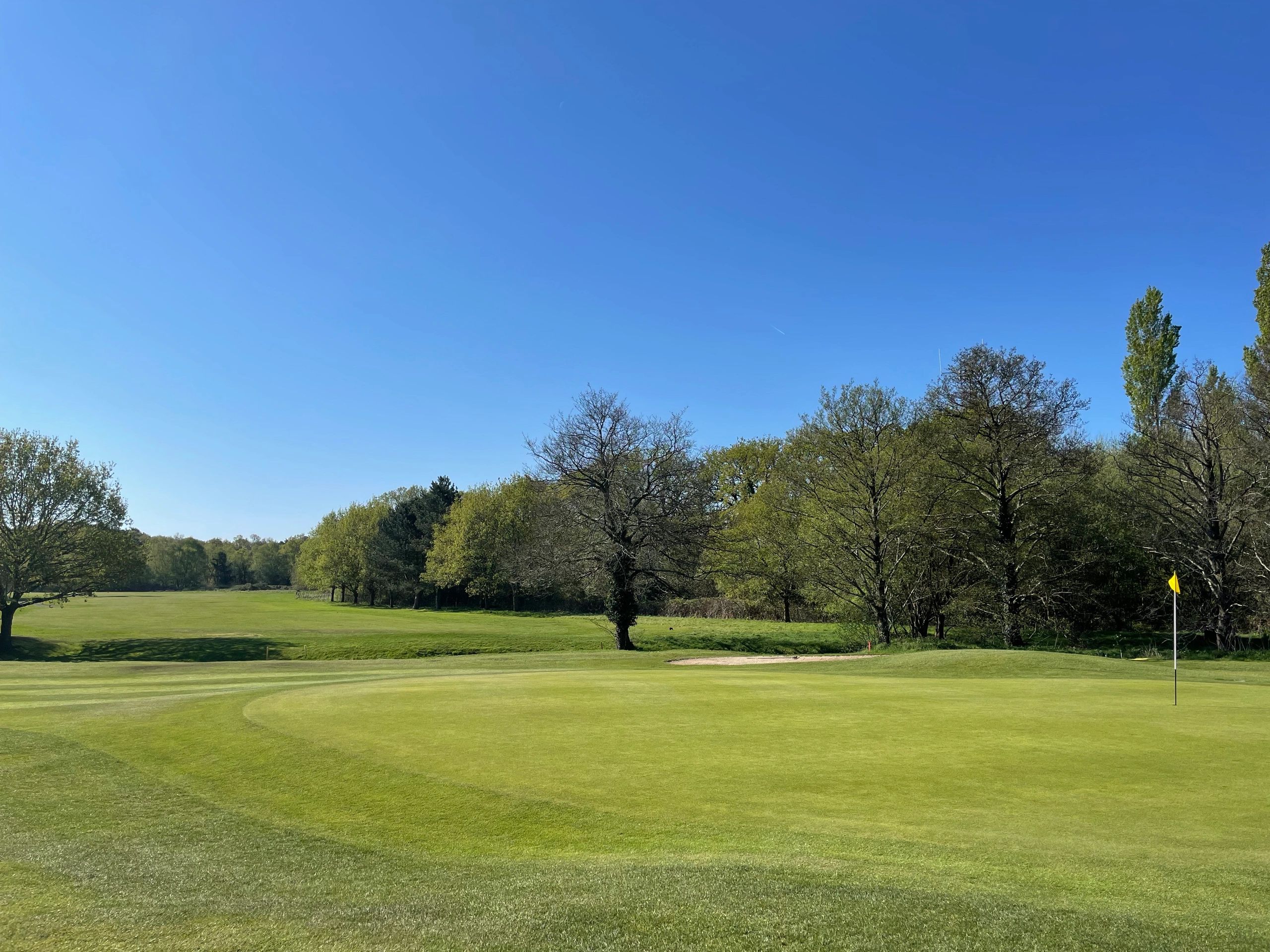 Ferndown Forest Golf Course & Toptracer Driving Range