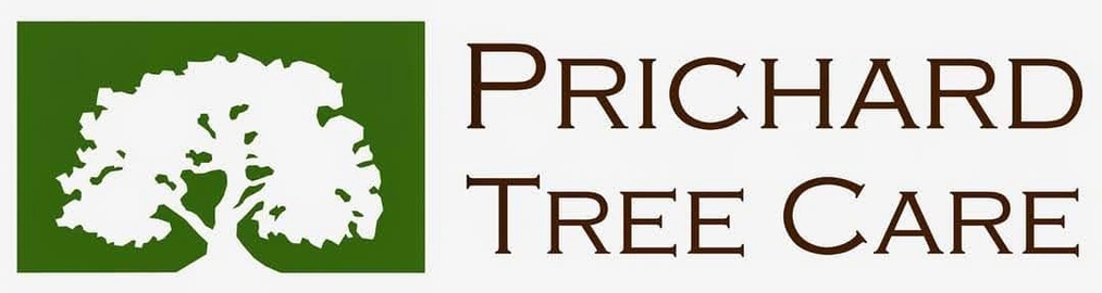 prichardtree.com