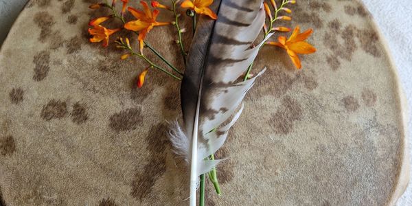 Native frame drum, feather, healing, sound healing