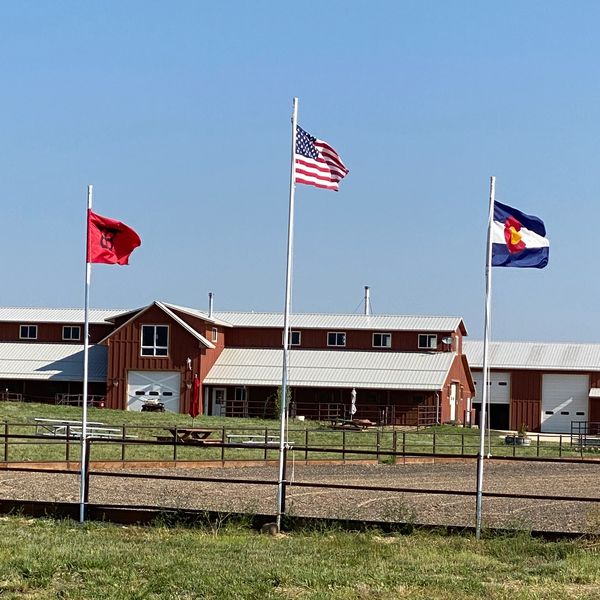 Experience the Best Horseback Riding Service at Westcliffe Stables