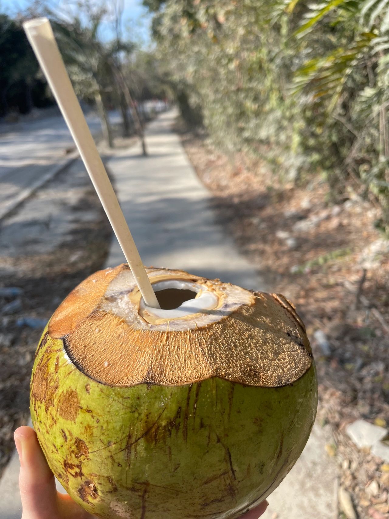 Tulum Coconut