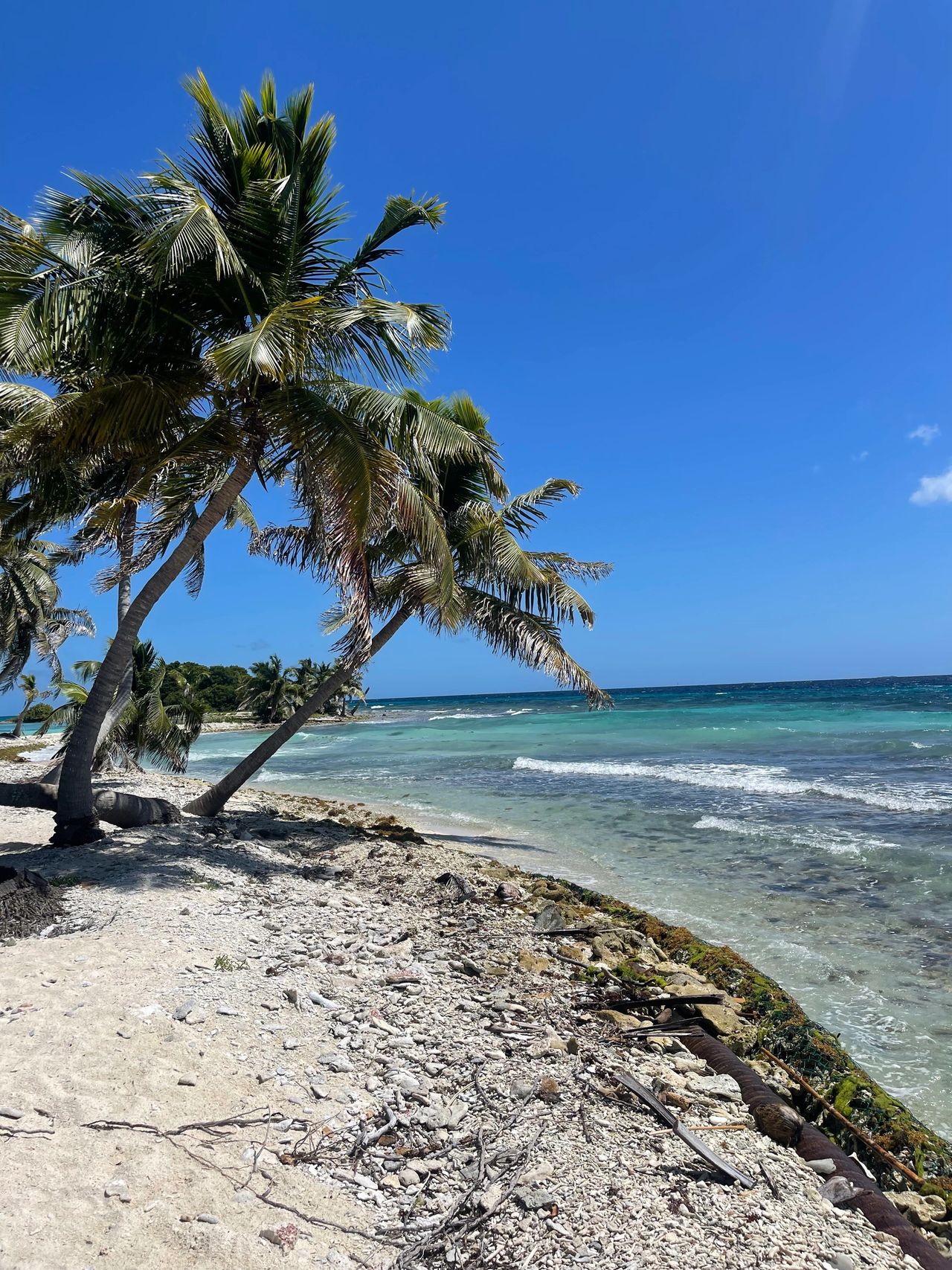 Laughing Bird Caye National Park Laughing Bird Caye National Park