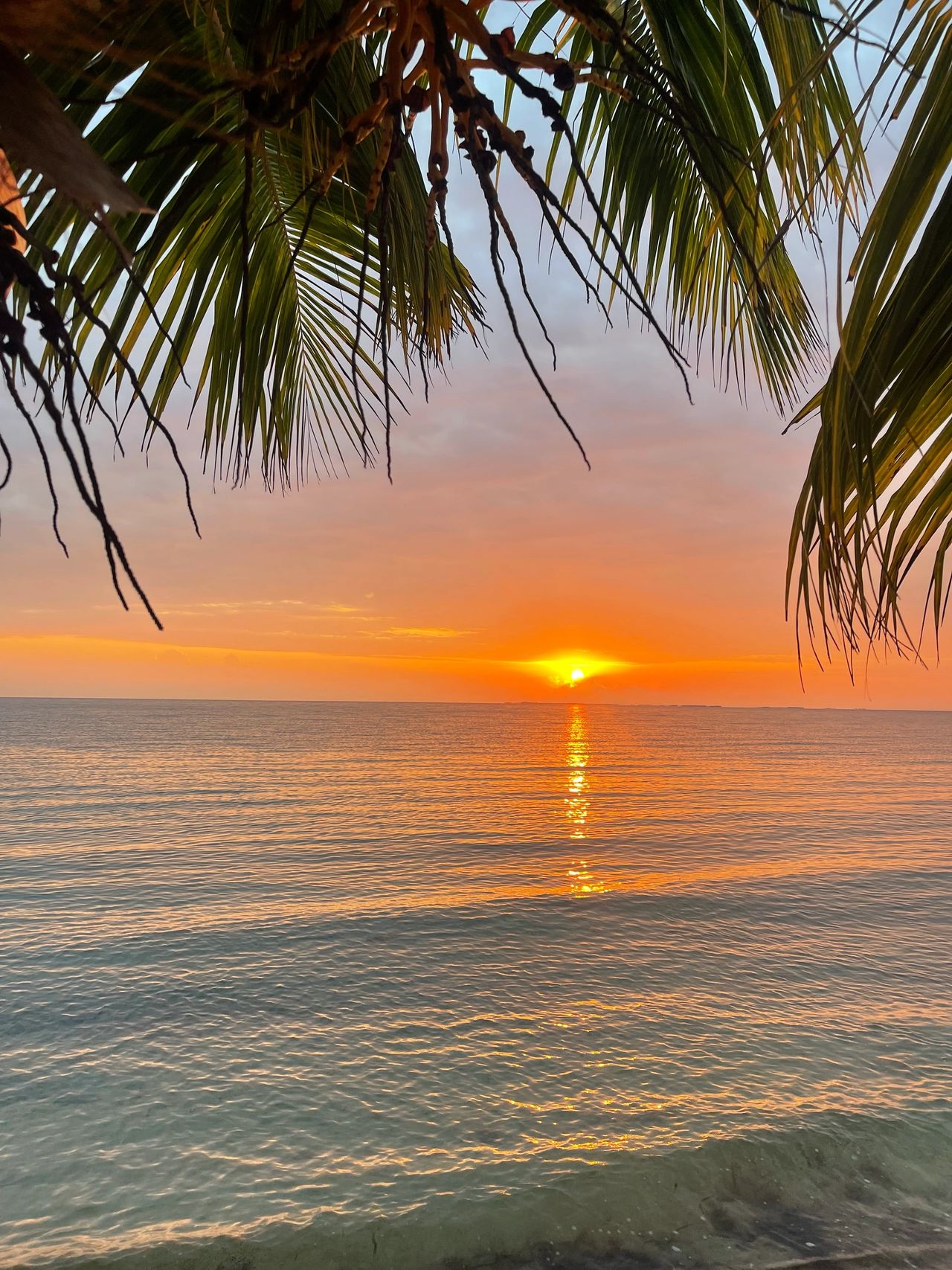Sunrise Sunrise