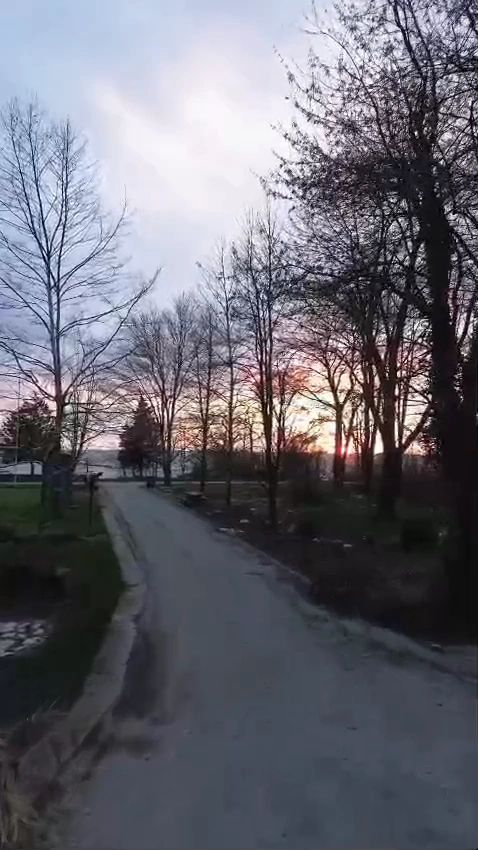 https://img1.wsimg.com/isteam/ip/37a7846e-2944-4993-a48c-8bb2896e0a87/thumbnails/thumbnail-18c02772-471b-4133-bfd2-7d0e3c85316b.png