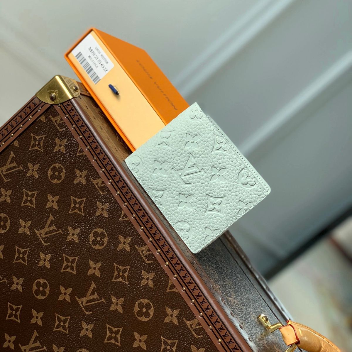 Louis Vuitton Multiple Wallet Mineral Gray