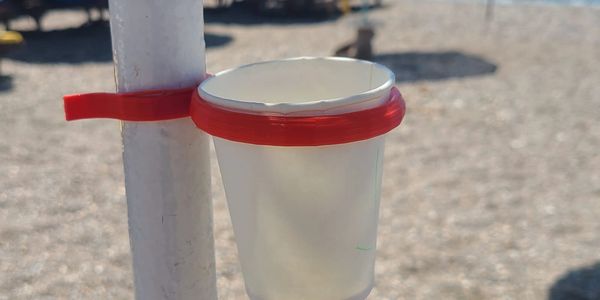 Tool to put cigarette butts in 