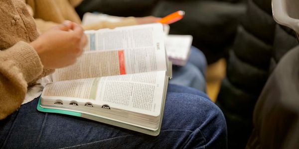 Person reading a book, focusing on the open pages.