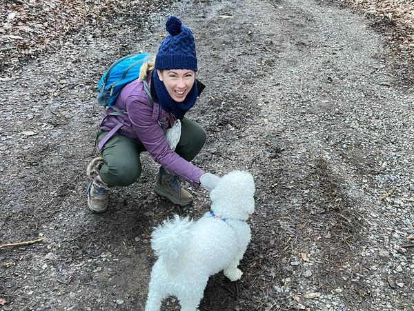 life path with dog in woods hiking