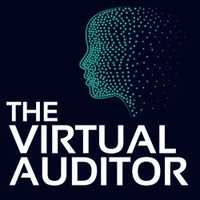 The Virtual Auditor