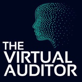 The Virtual Auditor