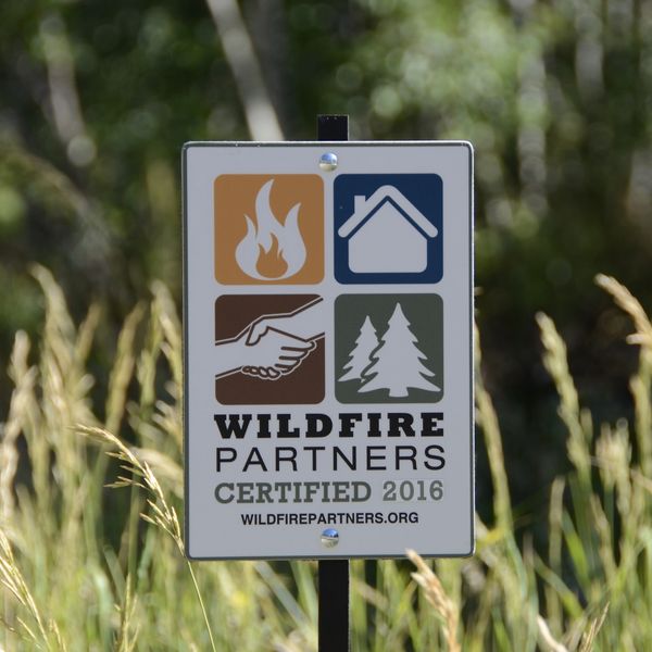 Sign indicating Wildfire Partners certification in a grassy natural area.