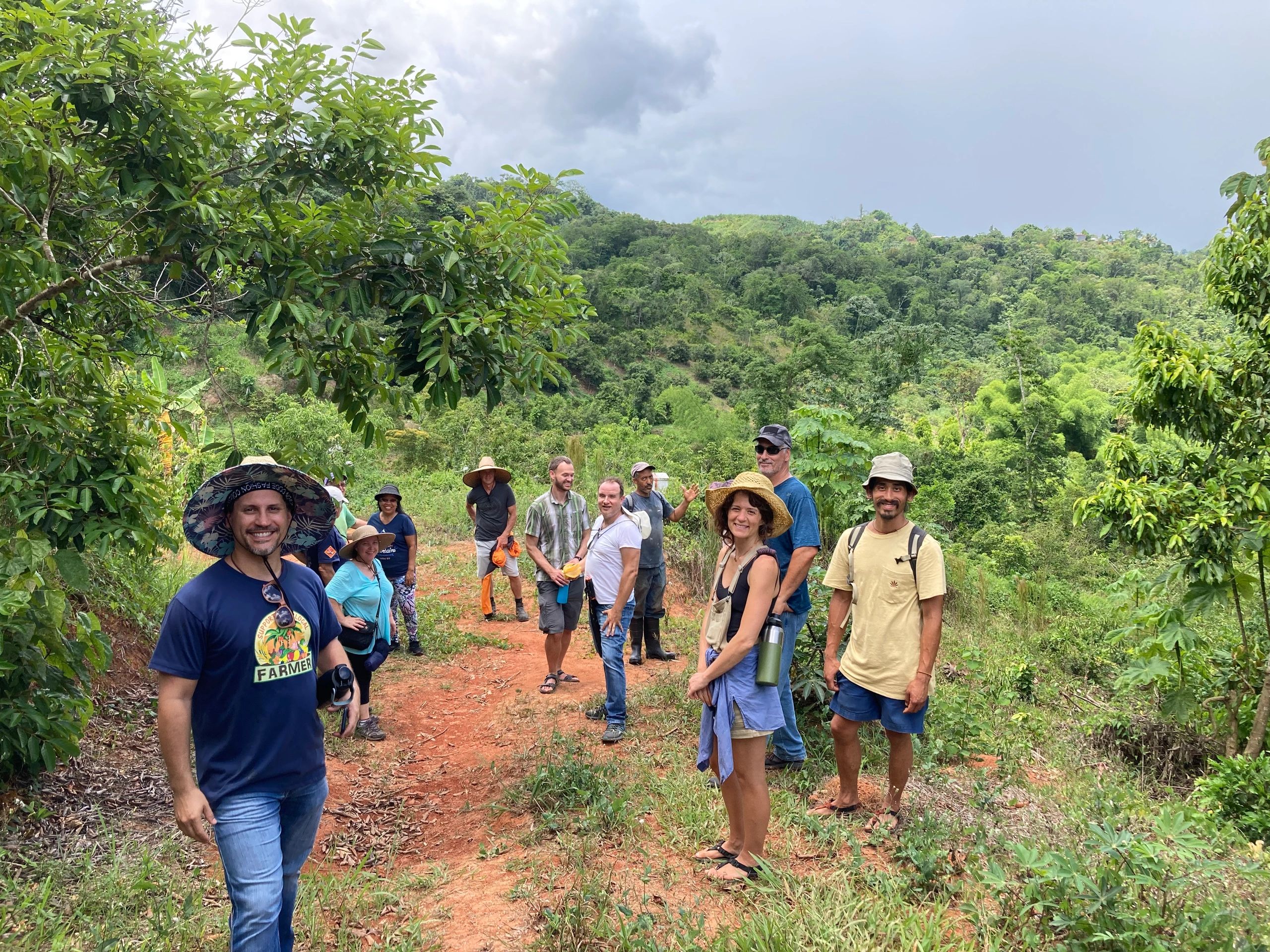 Tropical farm tour