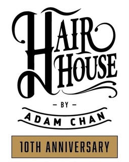 Hair House by Adam Chan