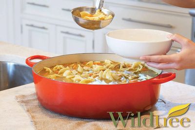 Serving homemade chicken noodle soup from a large red pot.