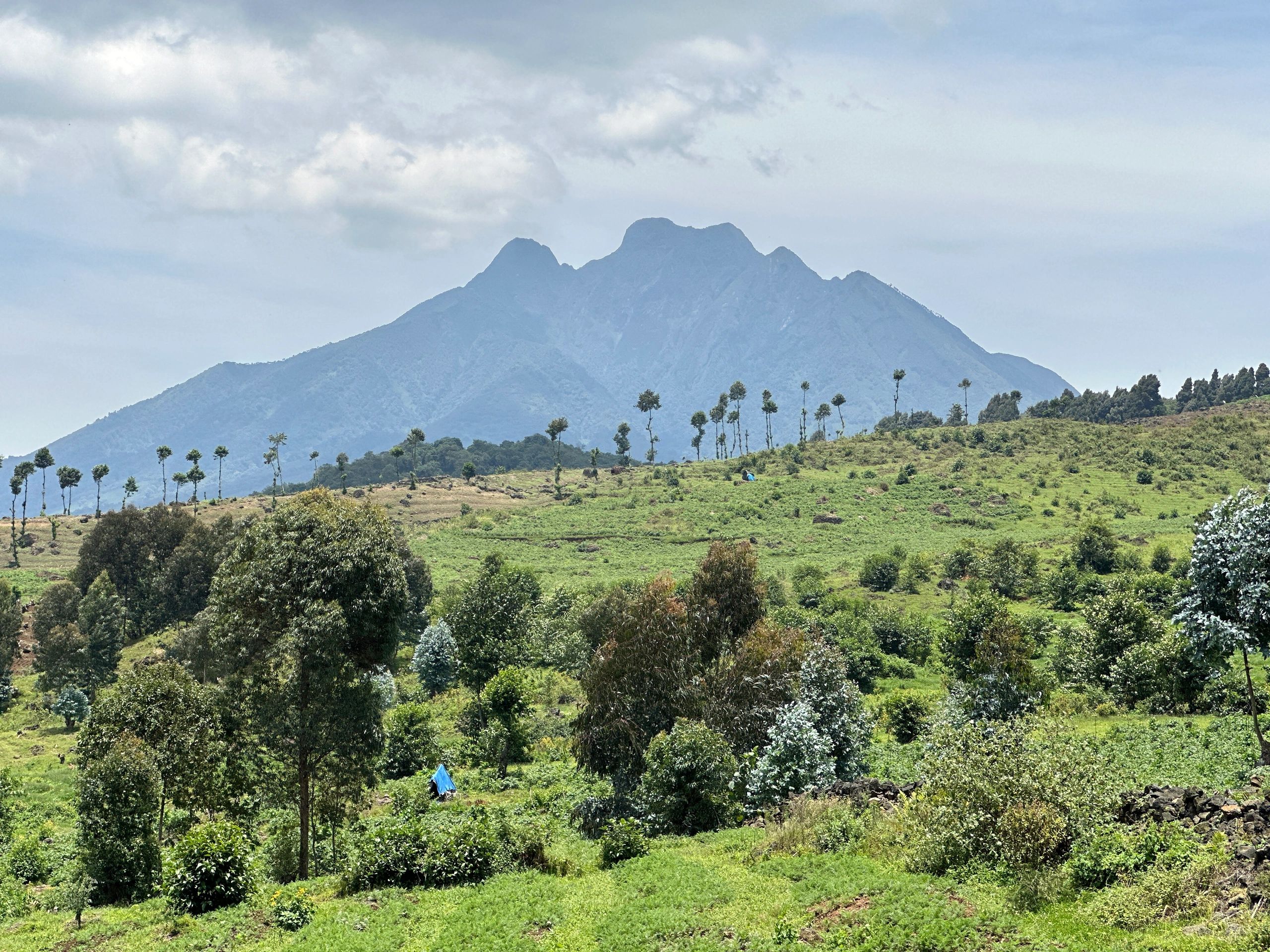 The Conservation Corner