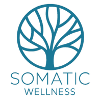 Somatic Wellness DFW