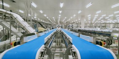 An empty blue conveyor belt system in a large, brightly lit factory.
