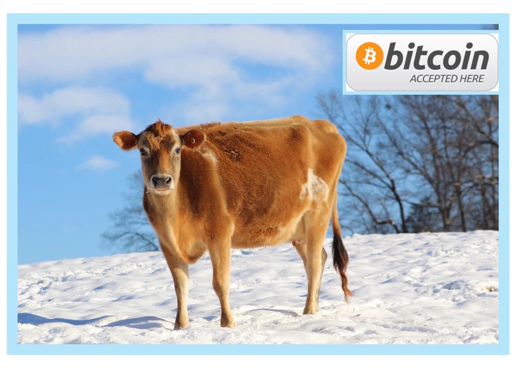 The Gorham Homestead Farm, Homesteading, Farmstand