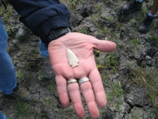 ARC
Archaeological Research Consultants, LLC