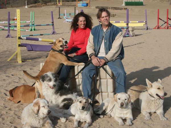 Senior dogs spend their golden years at North Yarmouth rescue and  retirement home