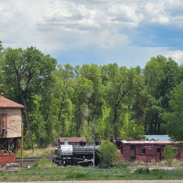 An old steam locomotive and vintage train cars near a green forest under a cloudy sky.