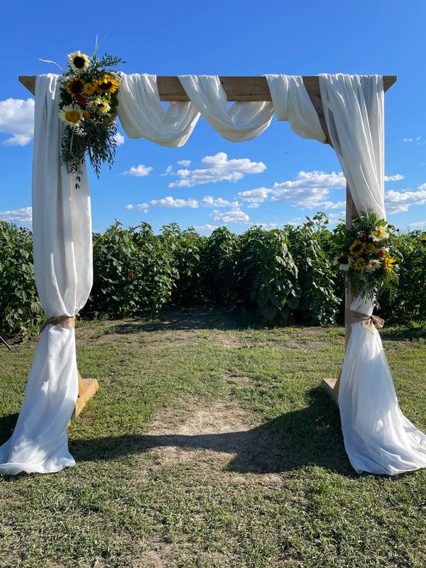 Arche de mariage dans champs de fleurs Ferme Forget avec tournesols eucalyptus zinnias et ruscus