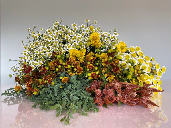 bouquet de mariée style champêtre avec fleurs sauvages comme de la camomille, marguerite eucalyptus 
