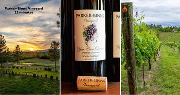 Parker-Binns Vineyard with scenic sunset, wine bottle, and grapevines.