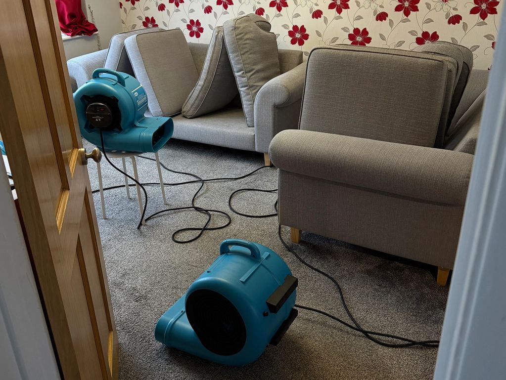Professional air movers drying a carpeted living room after cleaning. 