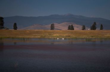 View at Wildhorse Hot Springs, mineral water, soaking, healing, water, nature, bird, pond, swans
