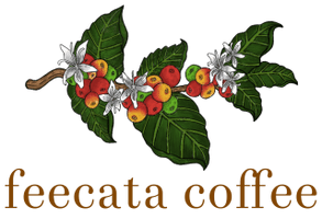 feecata coffee