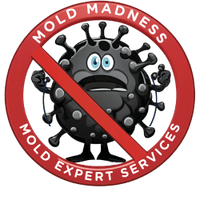 Mold Madness