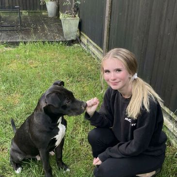 Girl fist-bumping a black dog in a backyard.